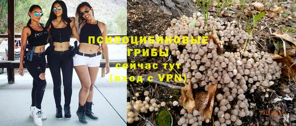 прущая мука Алзамай