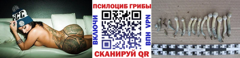 ссылка на мегу сайт  Нытва  Псилоцибиновые грибы Psilocybe  shop клад  где можно купить наркотик 